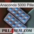 Anaconda 5000 Pill viagra4